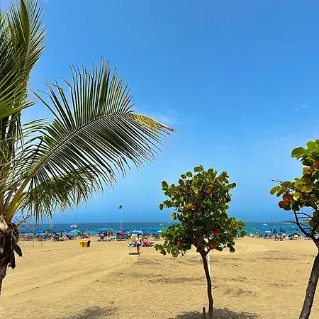 Cristian Sur * Los Cristianos (Tenerife)