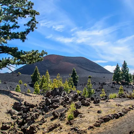 Cristian Sur Apartment