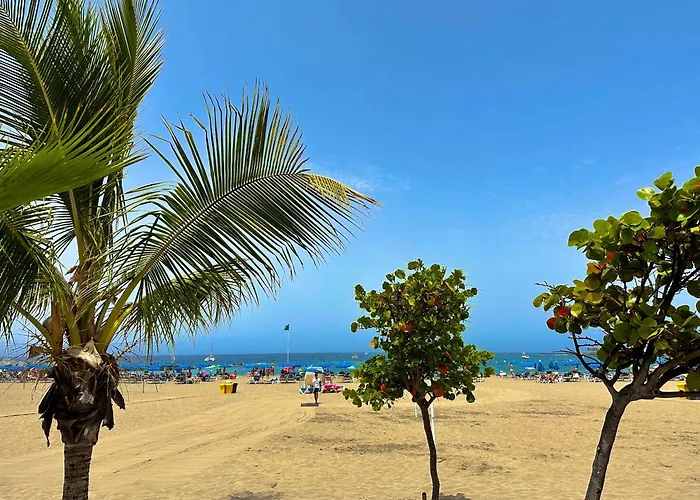 Cristian Sur * 로스크리스티아노스